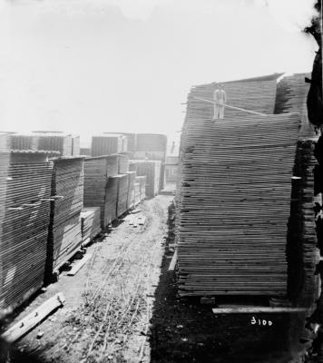 Photographie en noir et blanc d’une cour à bois. Un homme est debout sur une pile de bois qui fait quatre fois sa taille.